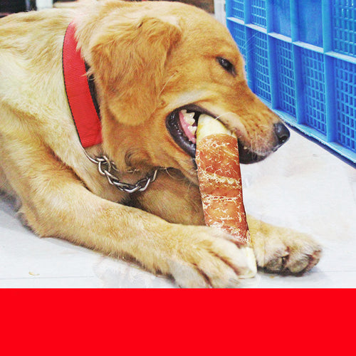 Dog teeth cleaning bones - FREE SHIPPING!!!