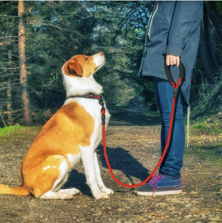 Reflective Dog Leash Nylon Pet Dog Leash Rope For Small Medium Large Dogs Walking Training Pet Suppiles - FREE SHIPPING!!!